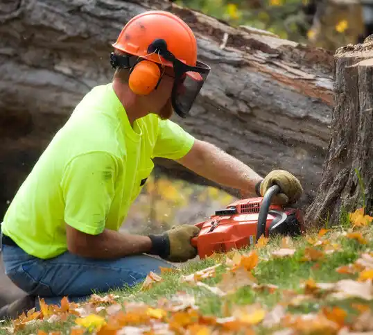 tree services New Madrid